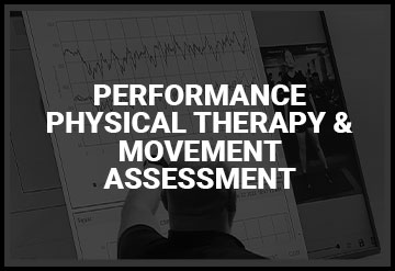 Performance Physical Therapy Near Zephyr Hills